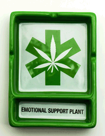 Emotional Support Plant Ashtray